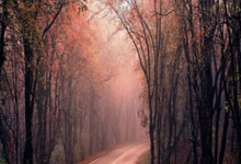 AC米兰客场逆转晋级，欧联杯四强诞生