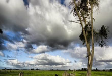 欧国联半决赛球队实力对比，分析来袭