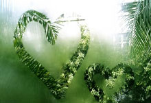 亚洲杯篮球赛冠军诞生，激烈角逐引人注目