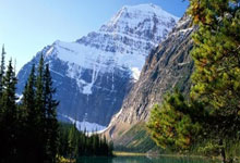 中国游泳选手取得男子米蝶泳第二名：银牌背后的力量