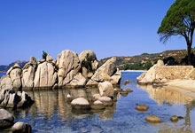 巴黎豪取胜利，晋级决赛再创辉煌