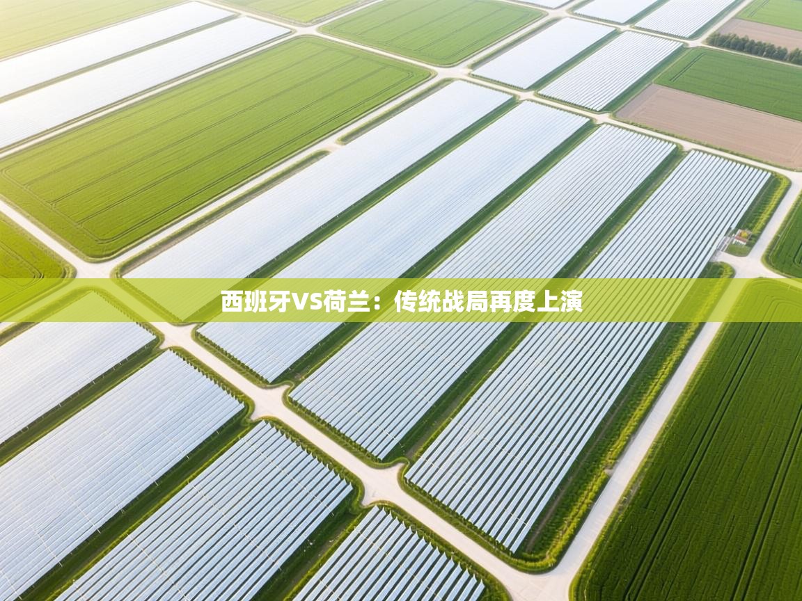 西班牙VS荷兰：传统战局再度上演  第2张